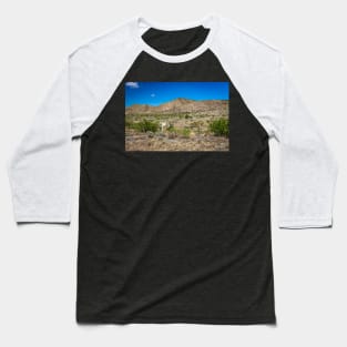 Criollo Cattle on the Open Range Baseball T-Shirt